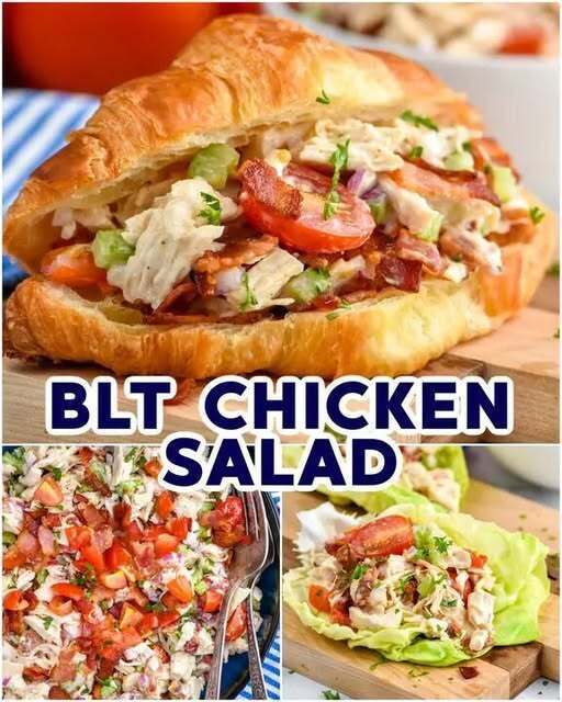 560522900 1143779597885218 5340637892522124024 N