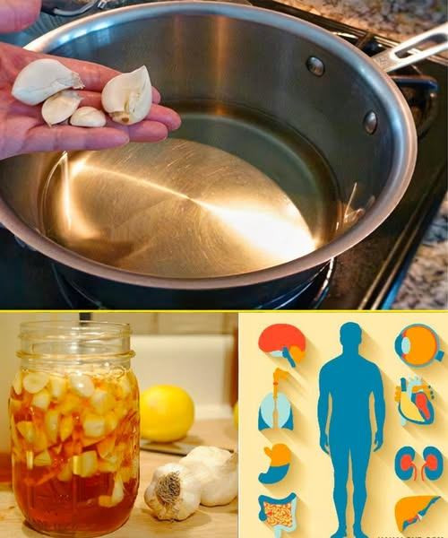 561397235 122187691442567604 9158875790132357082 N