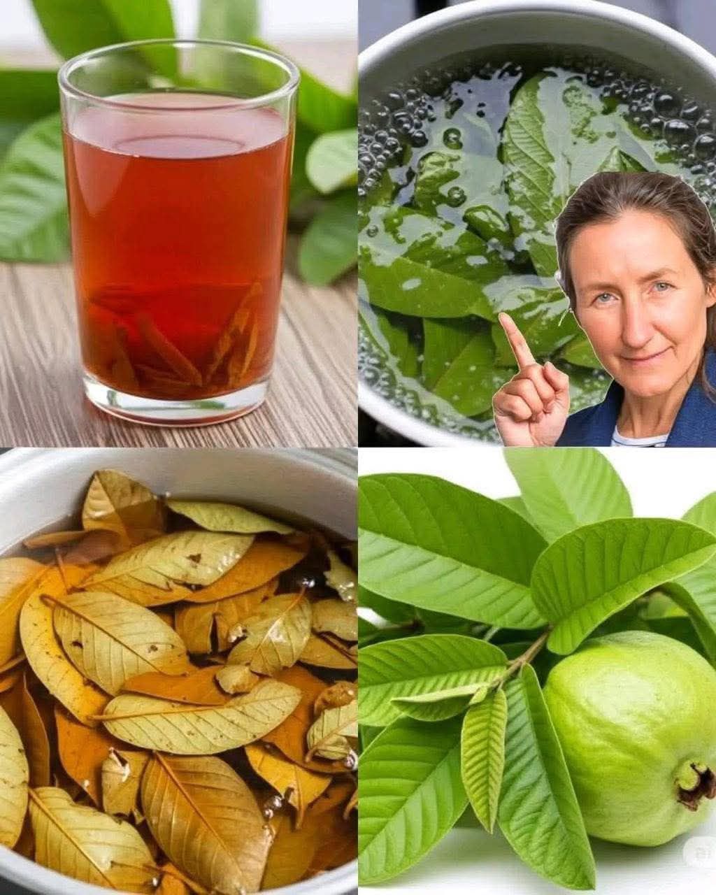 564018328 842189281710453 6745594844114741765 N (1)