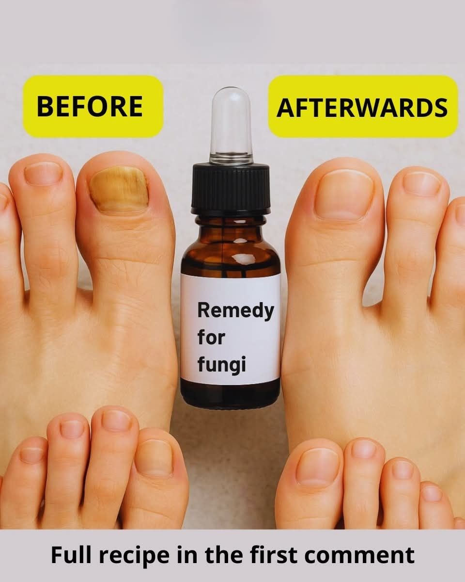 566318007 4387477958205324 4468957688748927251 N